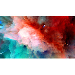 Hummingbird printed t-shirt