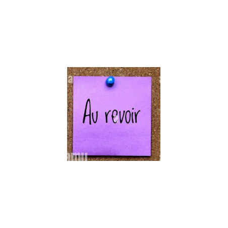 Mountain fox notebook